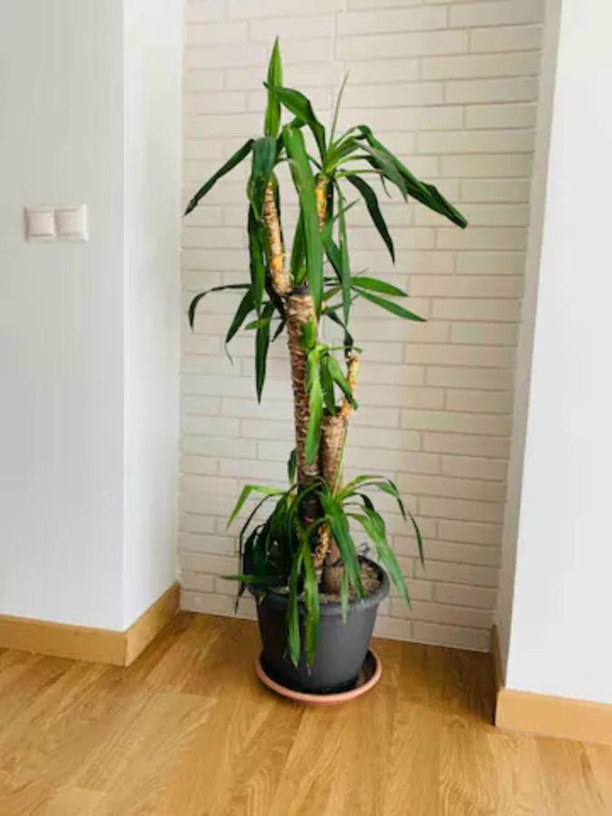 Puerto Banus Apartment Marbella Ngoại thất bức ảnh