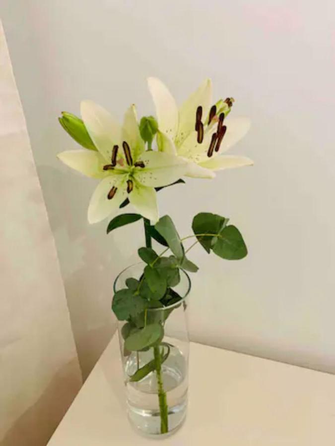 Puerto Banus Apartment Marbella Ngoại thất bức ảnh
